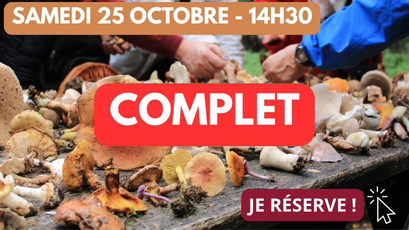 25_10 14h30 complet