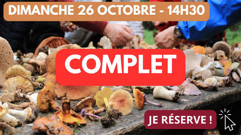26_10 14h30 complet